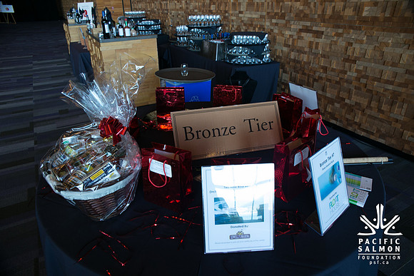 3 AUCTION ITEMS - PSF-SOMBILON PHOTOGRAPHY-246 - LOGO
