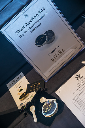 3 AUCTION ITEMS - PSF-SOMBILON PHOTOGRAPHY-203