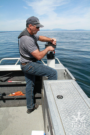 Salish Sea Marine Survival Project-79 - LOGO