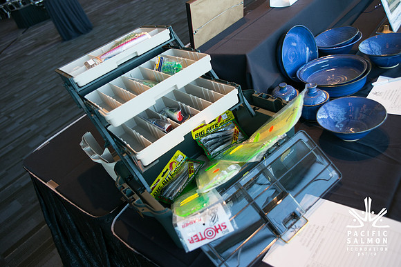 3 AUCTION ITEMS - PSF-SOMBILON PHOTOGRAPHY-147 - LOGO