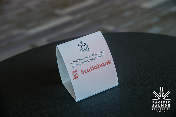 3 AUCTION ITEMS - PSF-SOMBILON PHOTOGRAPHY-211 - LOGO