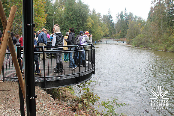 2014 Adams River Salute to Sockeye-140 - LOGO
