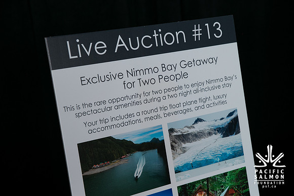 3 AUCTION ITEMS - PSF-SOMBILON PHOTOGRAPHY-10 - LOGO