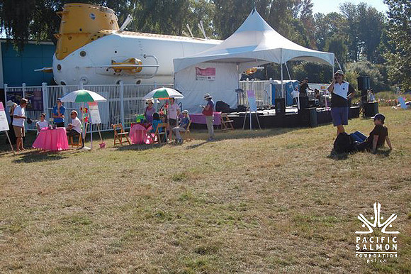 2011 Pink Salmon Festival-100 - LOGO