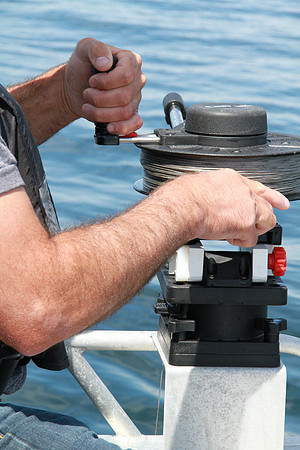 Salish Sea Marine Survival Project-76