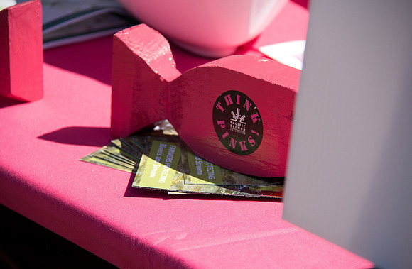2013 Pink Salmon Festival-37