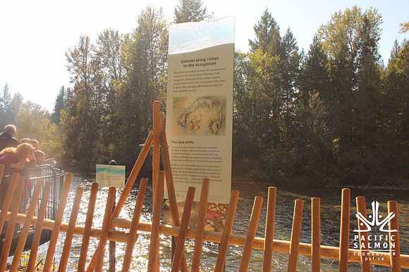 2014 Adams River Salute to Sockeye-8 - LOGO