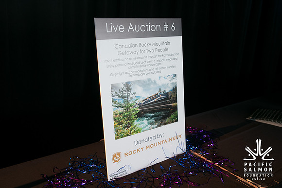 3 AUCTION ITEMS - PSF-SOMBILON PHOTOGRAPHY-37 - LOGO
