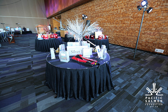 0 SETUP- PSF GALA 2014- Sombilon Photography-7 - LOGO