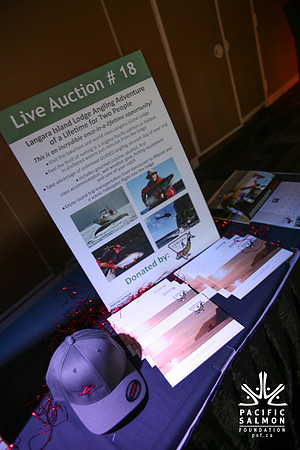 1 SILENT-LIVE AUCTION- PSF GALA 2014- Sombilon Photography-44 - LOGO