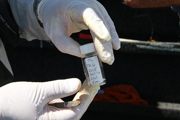 Salish Sea Marine Survival Project-27