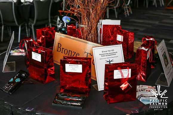 AUCTION-GOLD TIER RAFFLE ITEMS-PSF-Photos by Ron Sombilon-5 - LOGO