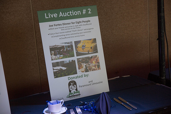 1 SILENT-LIVE AUCTION- PSF GALA 2014- Sombilon Photography-23