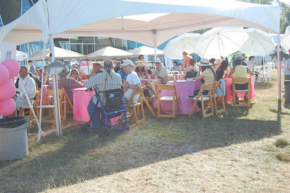 2011 Pink Salmon Festival-104