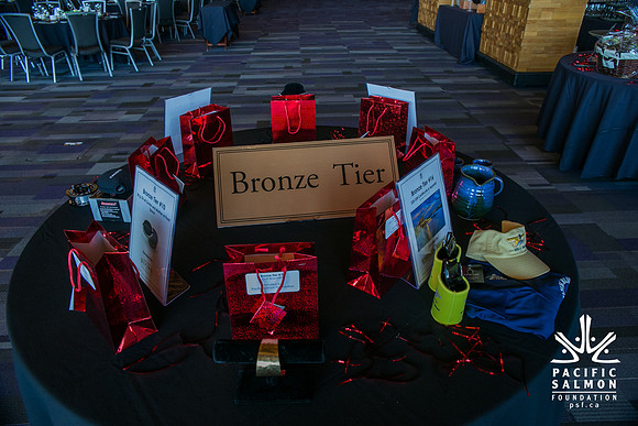 3 AUCTION ITEMS - PSF-SOMBILON PHOTOGRAPHY-236 - LOGO