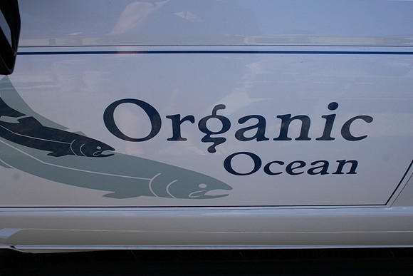 2011 Pink Salmon Festival-35