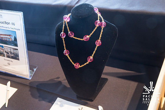 3 AUCTION ITEMS - PSF-SOMBILON PHOTOGRAPHY-119 - LOGO