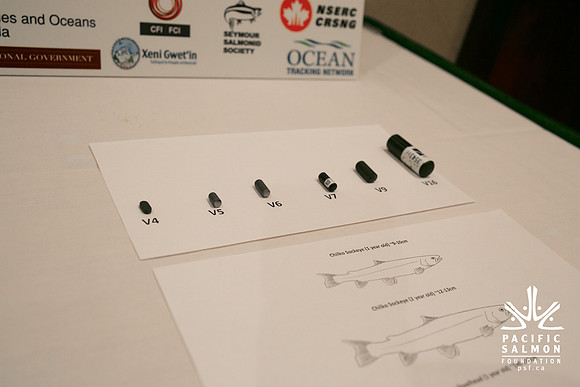 2 SCIENTISTS - SALISH SEA MARINE PROJECT - PSF-13 - LOGO