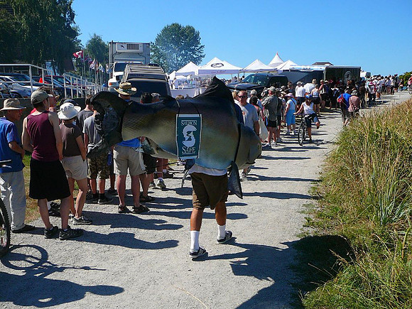 2011 Pink Salmon Festival