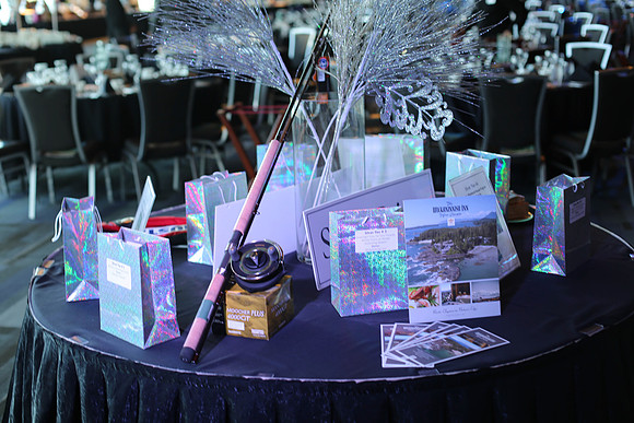 1 SILENT-LIVE AUCTION- PSF GALA 2014- Sombilon Photography-72