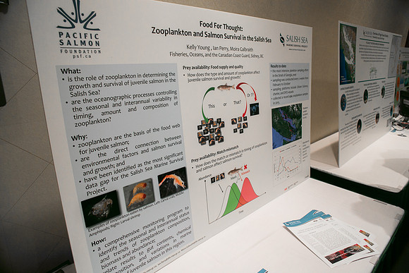 2 SCIENTISTS - SALISH SEA MARINE PROJECT - PSF-15