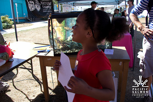 2013 Pink Salmon Festival-4 - LOGO