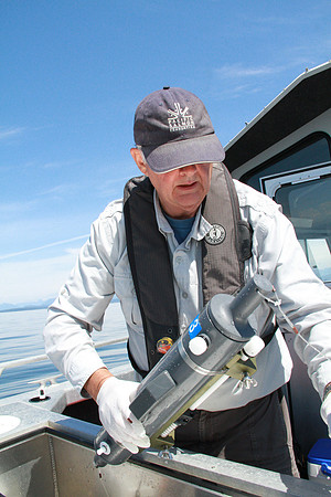 Salish Sea Marine Survival Project-7