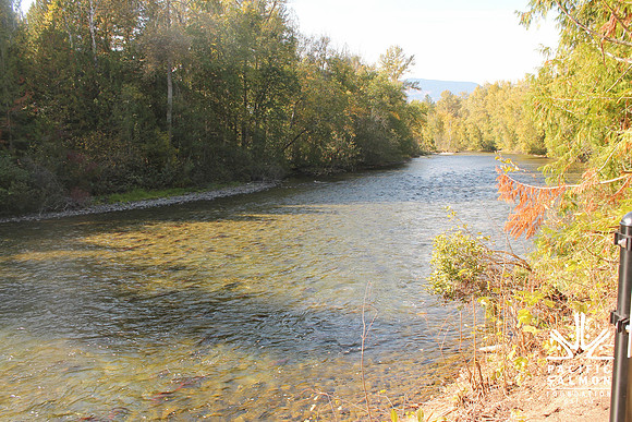 2014 Adams River Salute to Sockeye-12 - LOGO