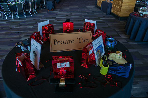 3 AUCTION ITEMS - PSF-SOMBILON PHOTOGRAPHY-236