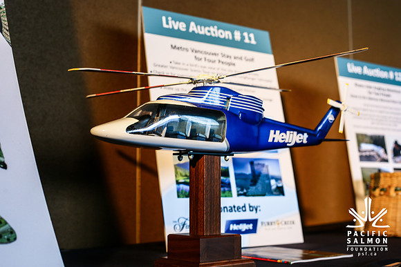 AUCTION-LIVE-ITEMS-PSF-Photos by Ron Sombilon-38 - LOGO