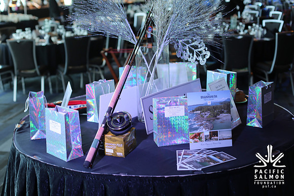 1 SILENT-LIVE AUCTION- PSF GALA 2014- Sombilon Photography-72 - LOGO