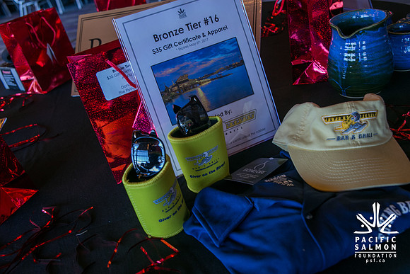 3 AUCTION ITEMS - PSF-SOMBILON PHOTOGRAPHY-238 - LOGO