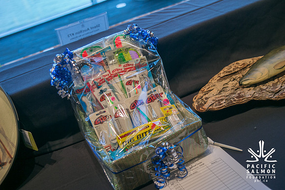 3 AUCTION ITEMS - PSF-SOMBILON PHOTOGRAPHY-134 - LOGO