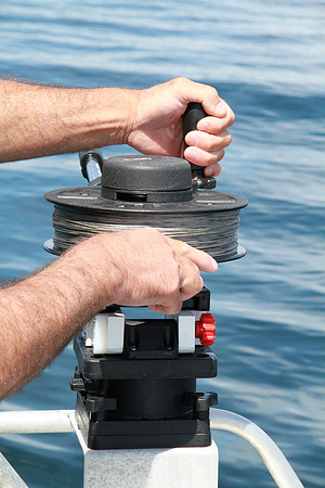 Salish Sea Marine Survival Project-78