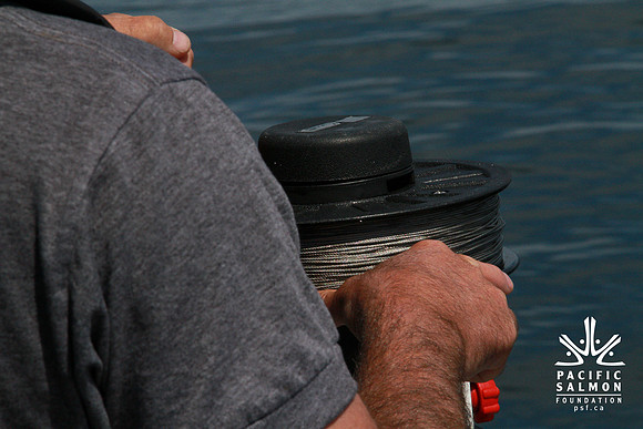 Salish Sea Marine Survival Project-85 - LOGO