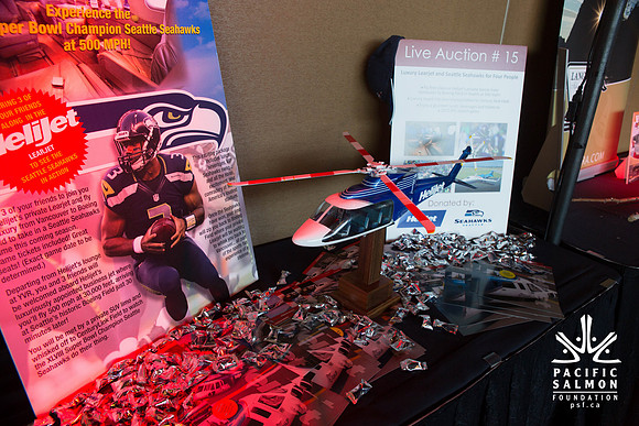 5 SETUP - PSF 2015 - SOMBILON PHOTOGRAPHY-46