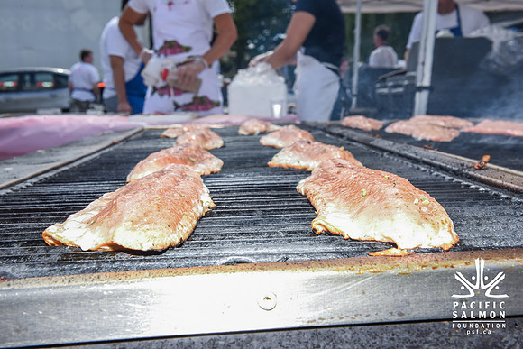 PINK SALMON FESTIVAL - PSF - SOMBILON PHOTOGRAPHY-68