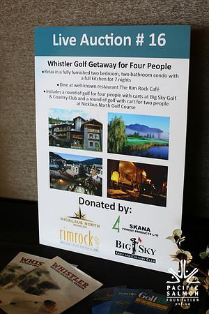 AUCTION-LIVE-ITEMS-PSF-Photos by Ron Sombilon-59 - LOGO