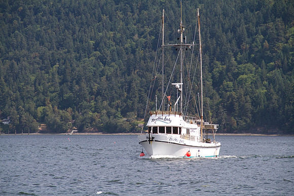 IMG_8416