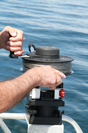 Salish Sea Marine Survival Project-77