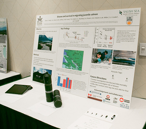 2 SCIENTISTS - SALISH SEA MARINE PROJECT - PSF-17