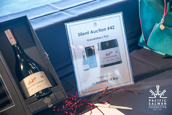 3 AUCTION ITEMS - PSF-SOMBILON PHOTOGRAPHY-199 - LOGO