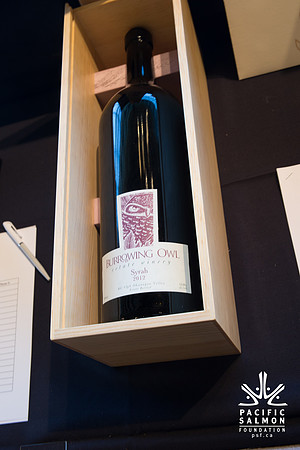 3 AUCTION ITEMS - PSF-SOMBILON PHOTOGRAPHY-118 - LOGO