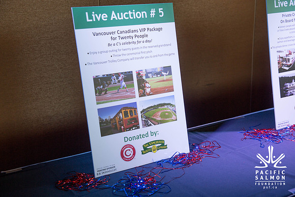 1 SILENT-LIVE AUCTION- PSF GALA 2014- Sombilon Photography-25 - LOGO
