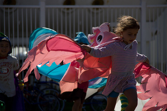 2013 Pink Salmon Festival-19