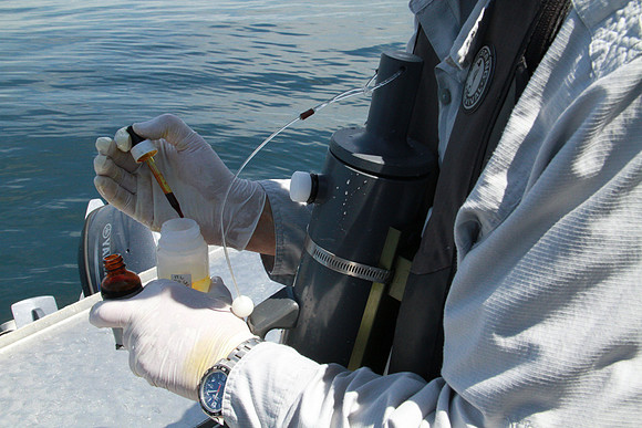 Salish Sea Marine Survival Project-64