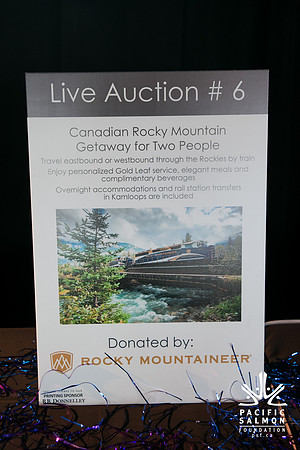 3 AUCTION ITEMS - PSF-SOMBILON PHOTOGRAPHY-36 - LOGO