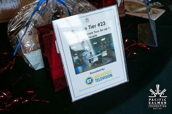 3 AUCTION ITEMS - PSF-SOMBILON PHOTOGRAPHY-231 - LOGO