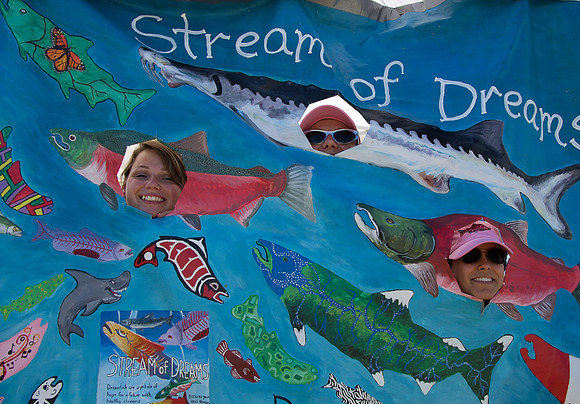 2013 Pink Salmon Festival-11