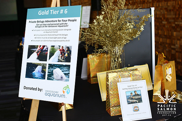 AUCTION-GOLD TIER RAFFLE ITEMS-PSF-Photos by Ron Sombilon-2 - LOGO